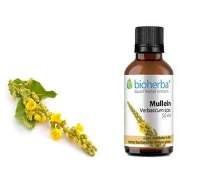 MULLEIN Leaf Liquid Extract +Iron, Dietary supplement, 50ml