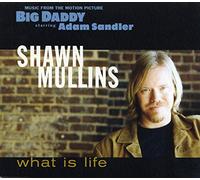 Mullins Shawn - What Is Life [CD 1]