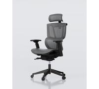 Multi-adjustable Ergonomic Chair with Split Lumbar Support Black+Grey Mesh