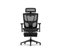 Multi-adjustable Ergonomic Chair with Split Lumbar Support Black Mesh / No Footrest