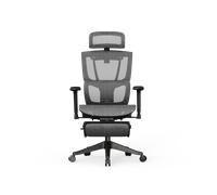 Multi-adjustable Ergonomic Chair with Split Lumbar Support Black Mesh / with Footrest