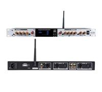 Multi-Channel Microphone for Stage and KTV, Digital Effector with Independent Audio Processing for Professional Use