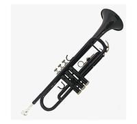 Multi-color Optional B-flat Trumpet Instrument Is Suitable For Students To Play In The Beginner's Exam (Color : 2)