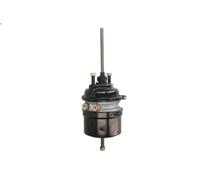 Multi-function Brake Cylinde WABCO 925491141