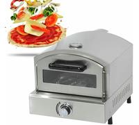Multi-Function Outdoor Pizza Oven 12 inch Gas Pizza Oven for Outside, Portable Propane Pizza Stove for Charcoal Pellet Grill on Backyard Camping,110V
