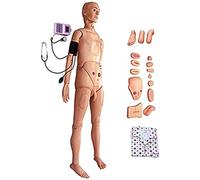 Multi-Functional Nursing Training Manikin Model 5.24Ft Life Size Full Body For Nursing Medical Train