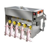 Multi-Head Piglet Nipple Feeder, 10/14 Stainless Steel Automatic Temperature Control Feeding Equipment for Piglets, Efficient Milk Delivery System