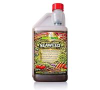 MULTI-MITE Organic Liquid Seaweed Fertiliser 1 Litre Plant Feed Concentrate Biostimulant for Gardens Lawns Vegetables Trees Roses Shrubs Herbs Fruit and House Plants Natural Liquid Seaweed