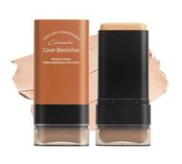 Multi-purpose Foundation Stick with Built-In Brush, Face Makeup, Natural Long-lasting Masking Foundation for Daily Use (01#, 20g)
