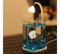 Multi-Purpose Minis Betta Fish Tank With LED Light and Green Crystal - Desktop Aquarium for Shrimp, Goldfishes - Office Decoration