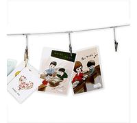Multi-Purpose Steel Wall Hanging Photo Display Cable Wire Rod String with 12 Clips for Hanging Photos Notes and Artworks (Alligator Clip)