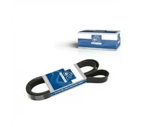 Multi-ribbed V-belt 1.51506 DT Spare Parts