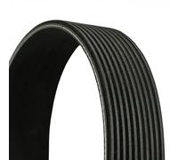 Fits CONTITECH 10 PK 1605 V-ribbed Belt 10 PK 1605 Multi-V-belt (10PK ⭐UK Stock⭐