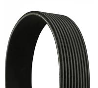 Multi-ribbed V-belt 10PK1698 CONTINENTAL CTAM