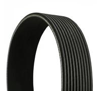 Multi-ribbed V-belt 10PK1850 CONTINENTAL CTAM