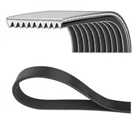 Dayco V-ribbed Belt 10PK1850HD - For Mercedes-Benz OM926.935/947 7.2L 6-cyl Zetros