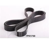 Multi-ribbed V-belt 112-7PK1750 ASHIKA for HONDA ACCORD VII ACCORD VII Tourer
