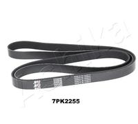 ASHIKA 112-7PK2255 Serpentine belt