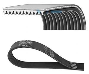 Multi-ribbed V-belt 12PK1950HD DAYCO for IVECO STRALIS II