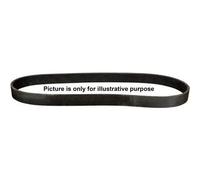 Multi-ribbed V-belt 1318100900 JP GROUP for VW HONDA FORD MERCEDES-BENZ TOYOTA