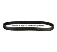 VRIBBED BELT 1418101000 FOR HYUNDAI VW PEUGEOT 206/SW 307/Break/CC 407 607 2.7L