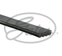 Gates Serpentine Belt 4PK750 – 4-Rib Multi-V