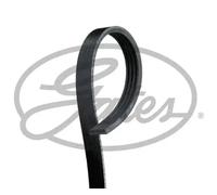 Gates 4PK917SF V-Ribbed Belt