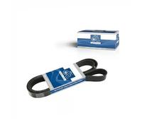 Multi-ribbed V-belt 5.41539 DT Spare Parts