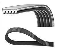 New V-Ribbed Belt for NISSAN:TERRANO II,PATHFINDER II,PATHFINDER II SUV