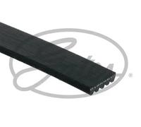 Gates 5PK1463 V-Ribbed Belt