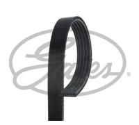 Gates 5PK1765 V-Ribbed Belt