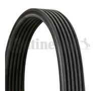 Multi-ribbed V-belt 6DPK1100 CONTINENTAL CTAM