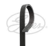 GATES V-Ribbed Belt 6DPK1698 - Micro-V Xf, 6 Ribs, 1698 mm, Fits BMW 1/3 Series