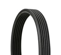 Multi-ribbed V-belt 6DPK1817 CONTINENTAL CTAM for BMW 3 Touring 3 X3 1 Coupe 1 5