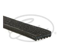 Multi-ribbed V-belt 6DPK2184 GATES for LAND ROVER RANGE ROVER EVOQUE
