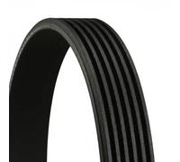 2x ✅Fits CONTITECH 6 PK 1042 ELAST V-ribbed Belt 6 PK 1042 ELAST Mul ⭐UK Seller⭐