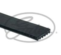 Gates 6PK1045XS V-Ribbed Belt