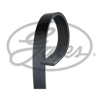 Multi-ribbed V-belt 6PK1175 GATES for DACIA RENAULT
