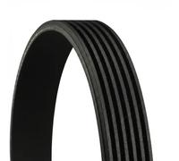 Multi-ribbed V-belt 6PK1441 EXTRA CONTINENTAL CTAM for AUDI A8 D5 A7 Sportback