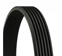 Multi-ribbed V-belt 6PK1480 CONTINENTAL CTAM for PEUGEOT TOYOTA VW SEAT MAN