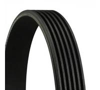 Contitech 6PK1590 V-Ribbed Belts, Black