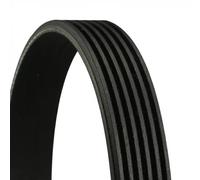 Multi-ribbed V-belt 6PK1642 CONTINENTAL CTAM for VOLVO RENAULT VW FORD JAGUAR