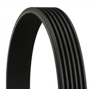 ContiTech Multi-ribbed V-belt 6PK1870 for VW BMW Mitsubishi Toyota CONTINENTAL CTAM