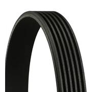 ContiTech Serpentine Belt 6PK2135 – Loose Multi-V Belt