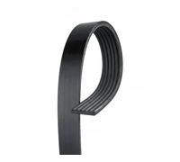 GATES 6PK718SF Serpentine belt