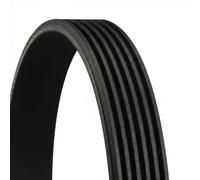 Multi-ribbed V-belt 6PK794 ELAST CONTINENTAL CTAM for MERCEDES-BENZ S-CLASS