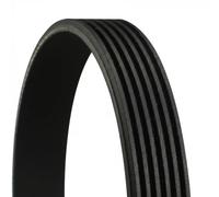 Multi-ribbed V-belt 6PK873 ELAST CONTINENTAL CTAM for PEUGEOT FORD CITROËN FIAT