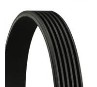 Multi-ribbed V-belt 6PK922 EXTRA CONTINENTAL CTAM for AUDI A8 D5 A7 Sportback Q8