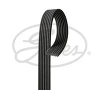 GATES 7DPK1560 Serpentine belt