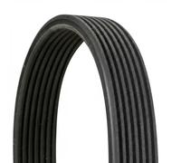 Multi-ribbed V-belt 7DPK1697 CONTINENTAL CTAM for BMW 5 5 Touring